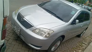Toyota Corolla RunX 1.5 X AWD 2004 Silver