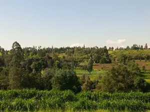 Nanyuki Kalalu 6.75 Acres With 3 B/Rooms Bungalow, River Frontage