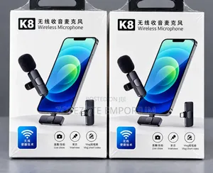 Portable Wireless Microphone