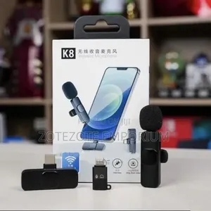 Portable Wireless Microphone