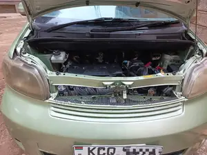 Toyota Porte 2011
