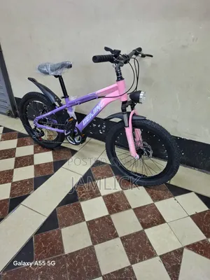 20-Inch Bicycle With Gear Disc Brake - Sm