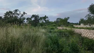 50*100 Plots for Sale Nanyuki Segera