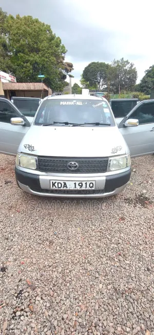 Toyota Probox 1.5 DX Comfort 2WD 2014 Silver