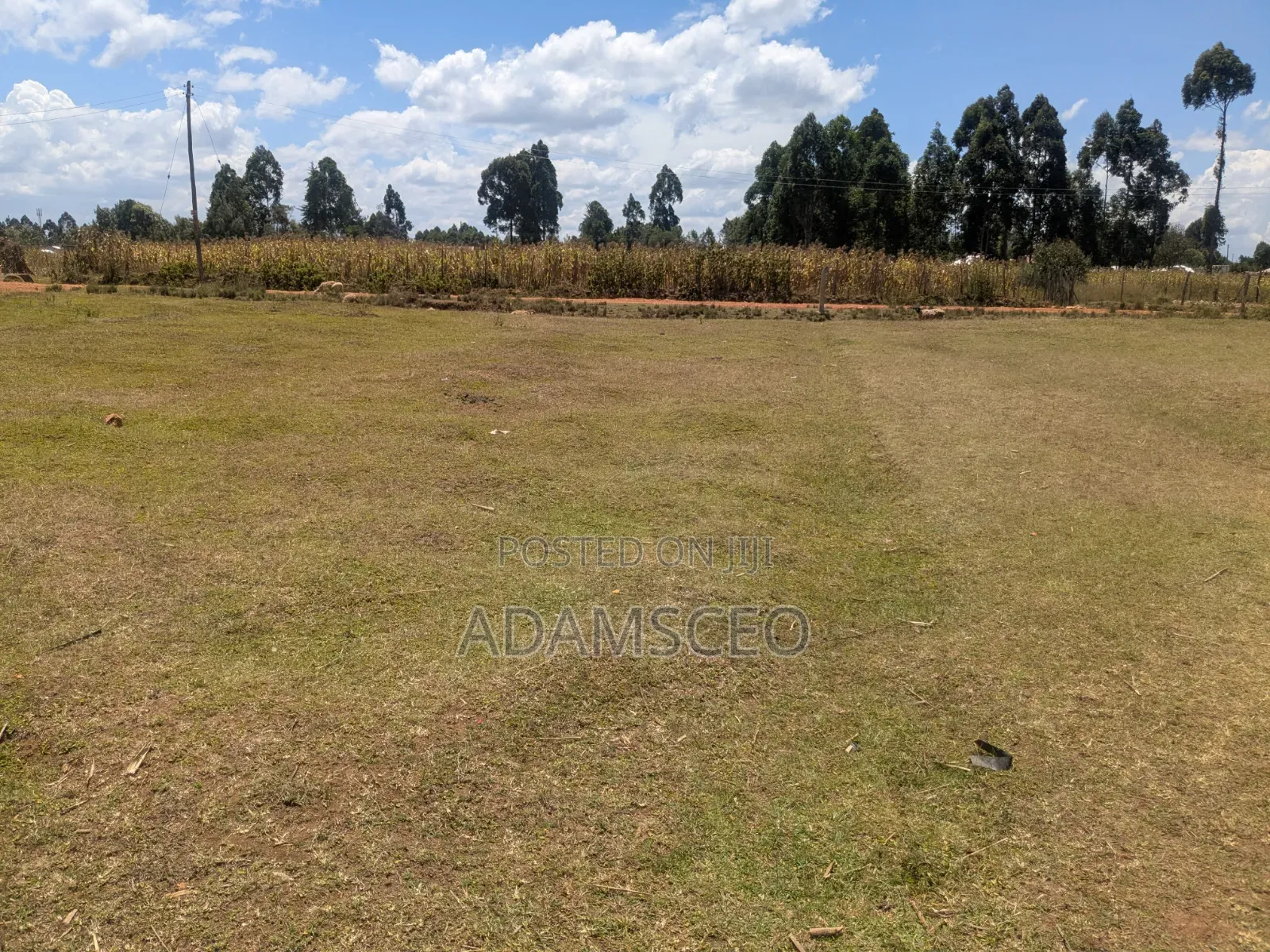 Prime Land in Eldoret