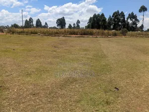 Prime Land in Eldoret