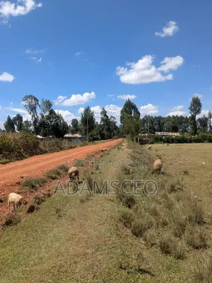 Prime Land in Eldoret