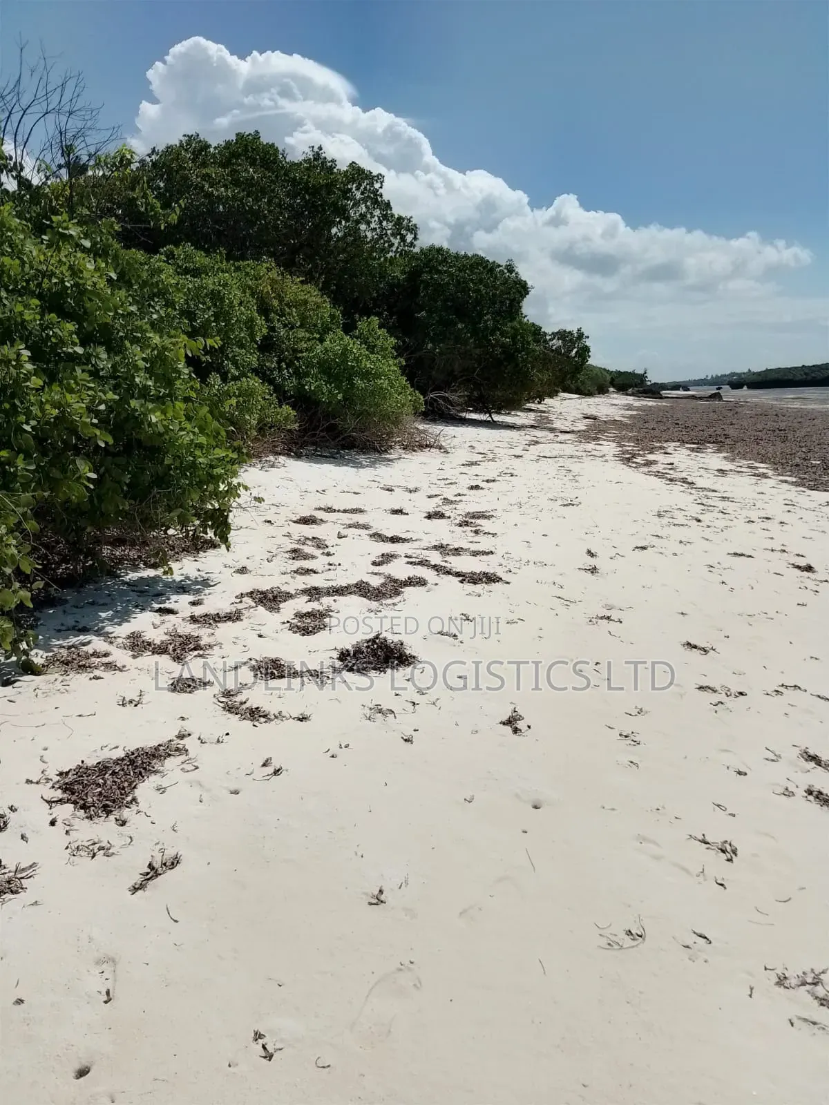 Mombasa Mtwapa Kikambala Beach Land 20 Acres