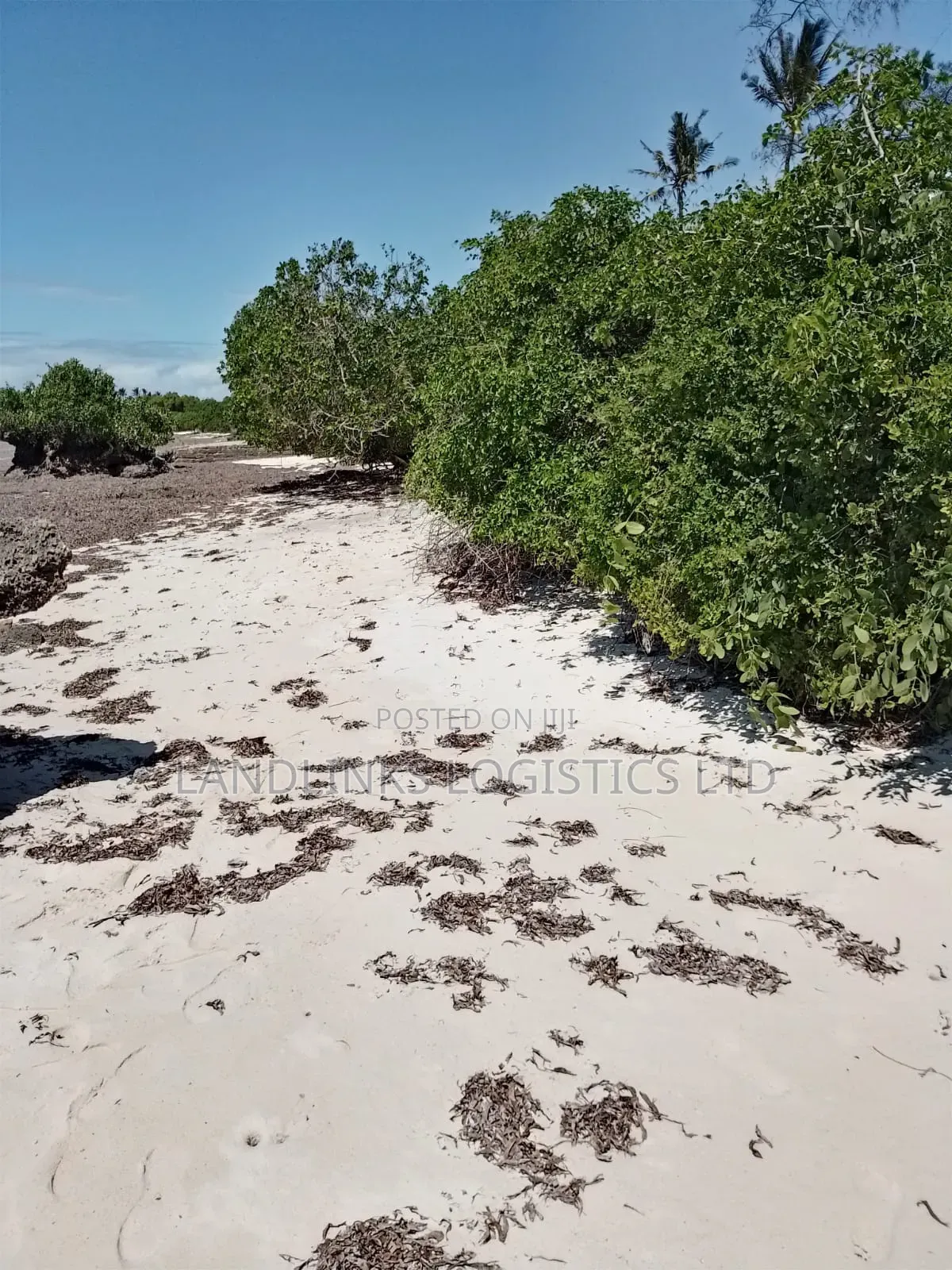 Mombasa Mtwapa Kikambala Beach Land 20 Acres
