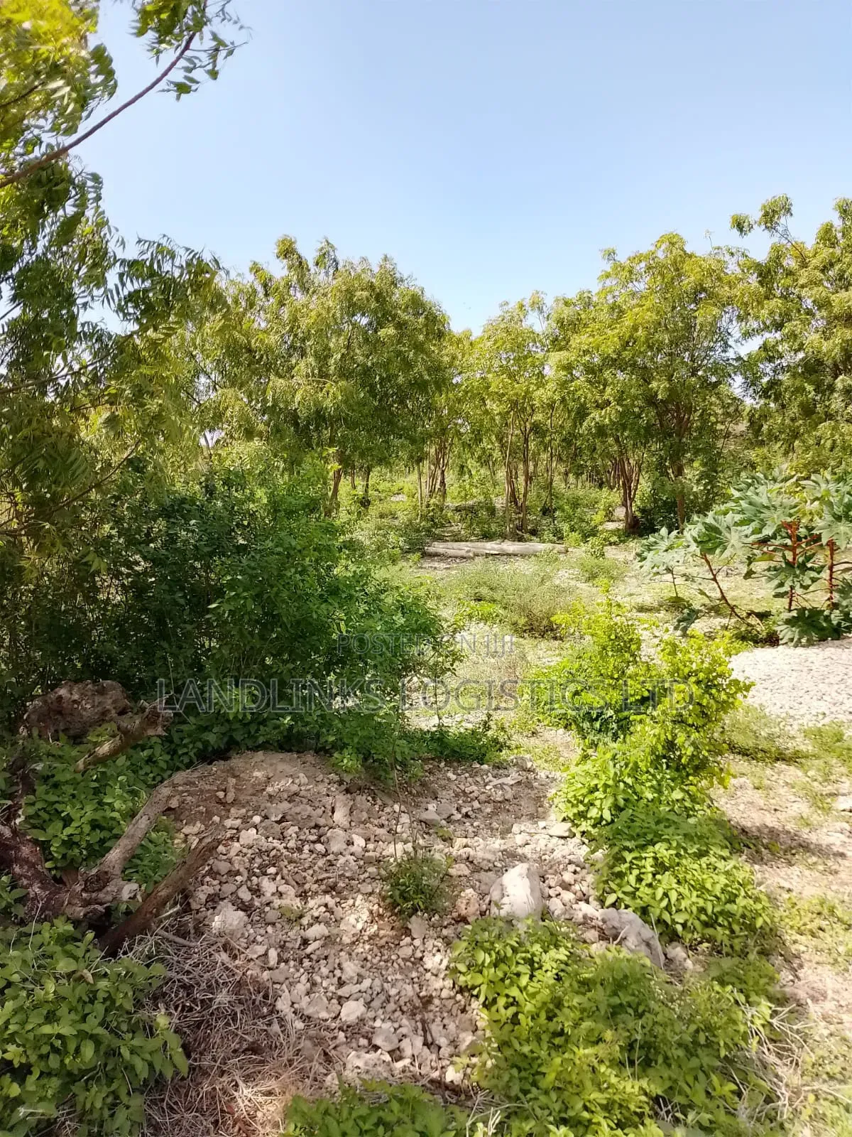 Mombasa Mtwapa Kikambala Beach Land 20 Acres