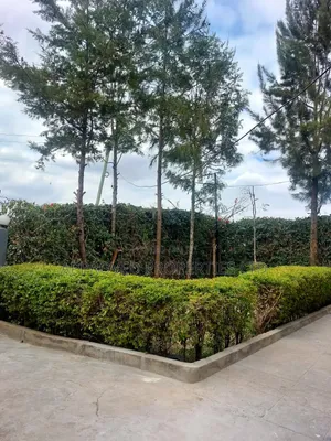 5bdrm Maisonette in Kitengela for sale