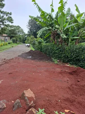 Commercial 1/2 Acre for Sale in Karen