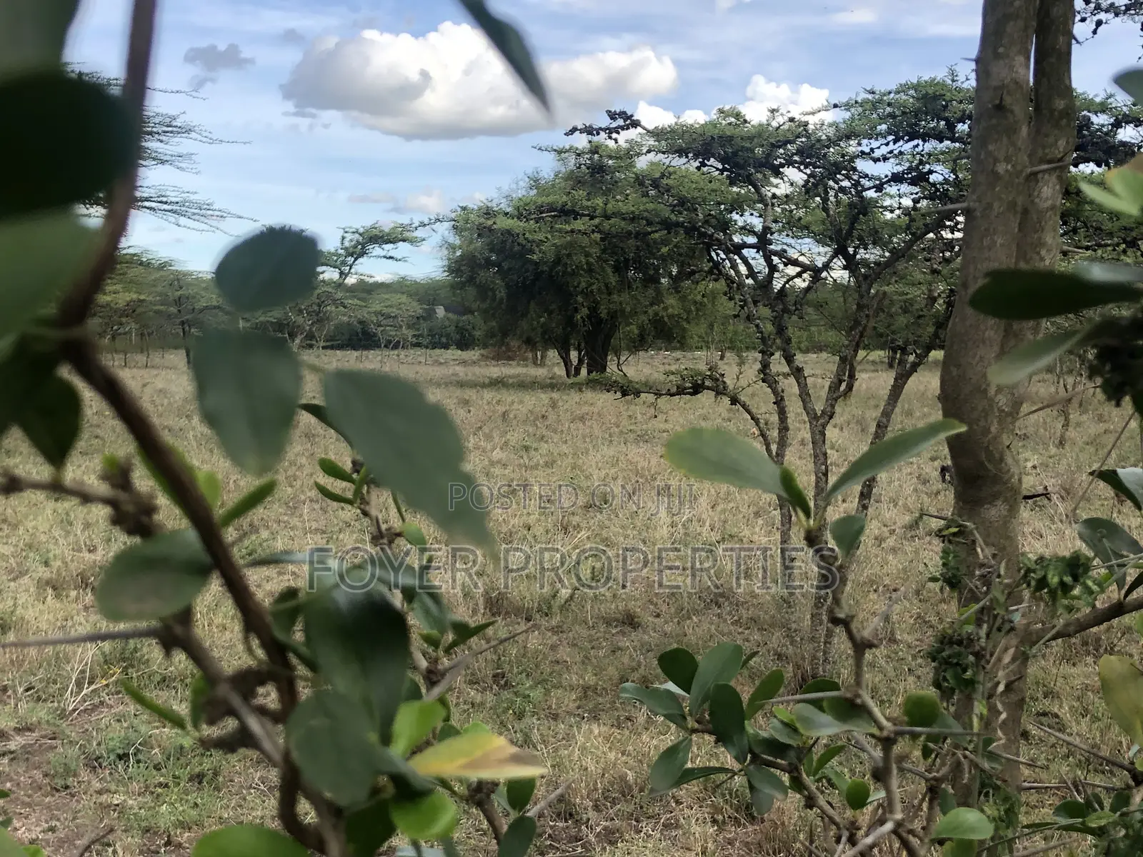 One Acre Plot in Tuala