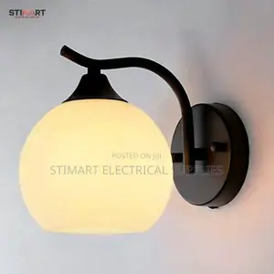 Elegant Frosted Glass Globe Wall Lamp
