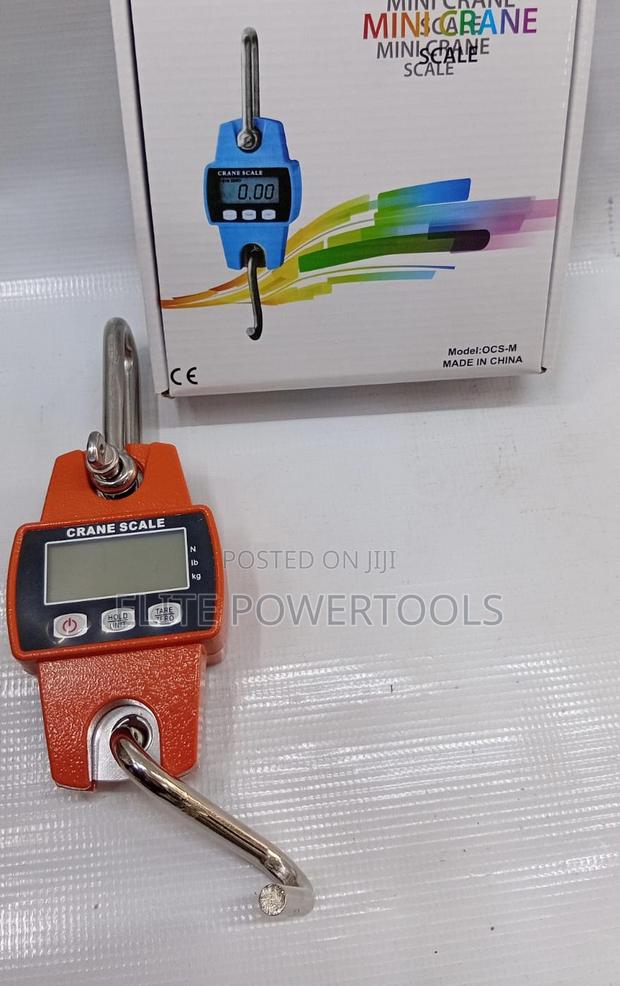 300 Kg Mini Crane Scale - main view