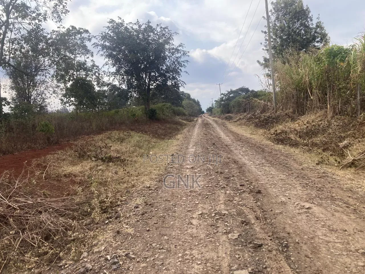 1/4 Plot for Quick Sale
