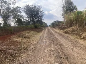 1/4 Plot for Quick Sale
