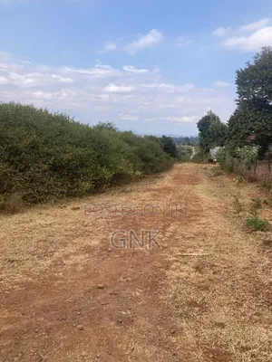 1/4 Plot for Quick Sale