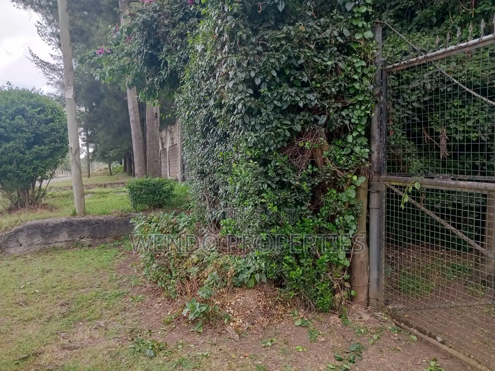 4bdrm House in Milimani Estate for sale