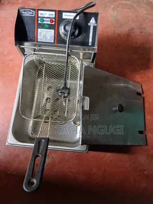 Electric Frier