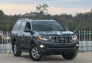 Toyota Land Cruiser Prado 2.7 2019 Gray