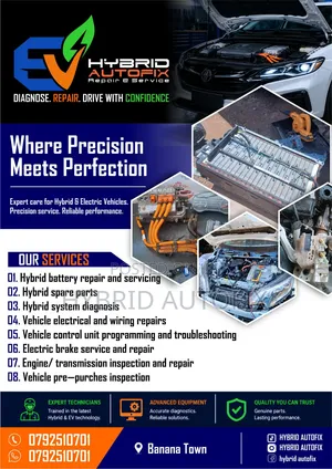 Hybrid Technician
