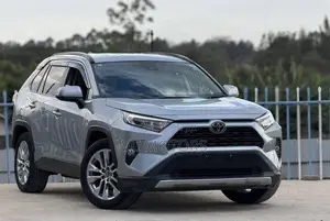 Toyota RAV4 Adventure 2019 Gray