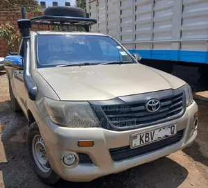 Toyota Hilux WORKMATE 2013 Gray