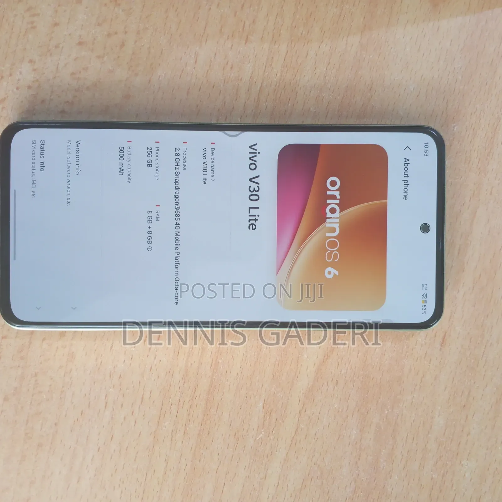 Vivo V30 Lite 256 GB Green