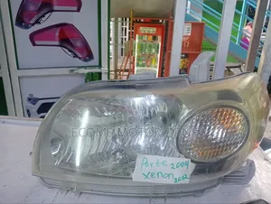 Nyota Porte 2012 Headlight