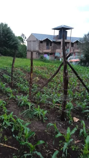 Plot of Land