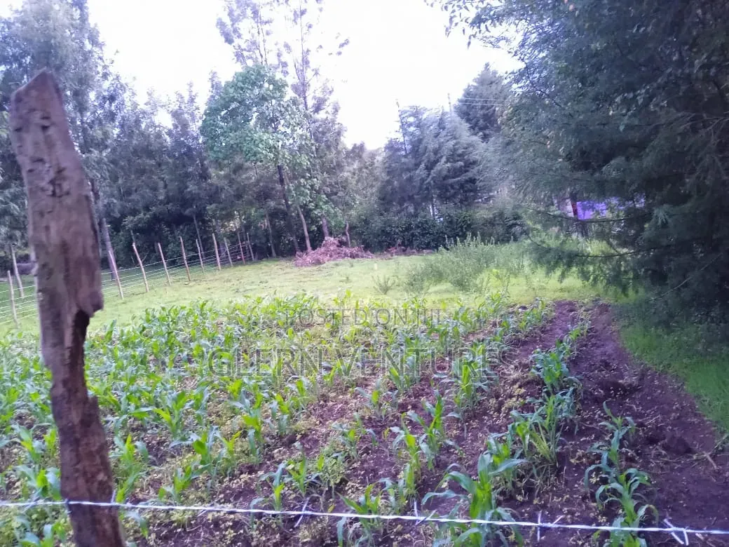 Plot of Land