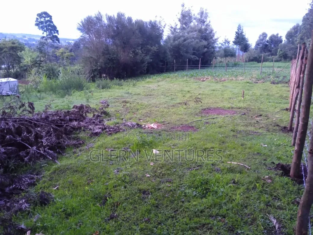 Plot of Land