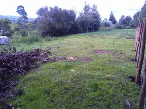 Plot of Land