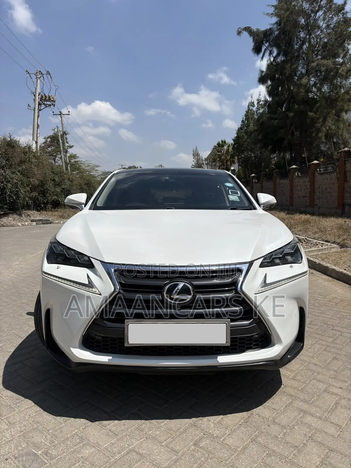 Lexus NX 2016 White