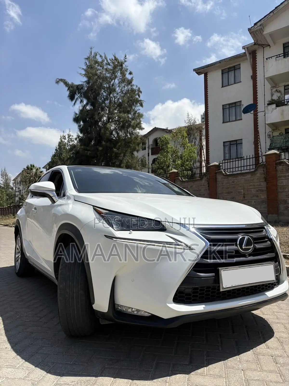 Lexus NX 2016 White