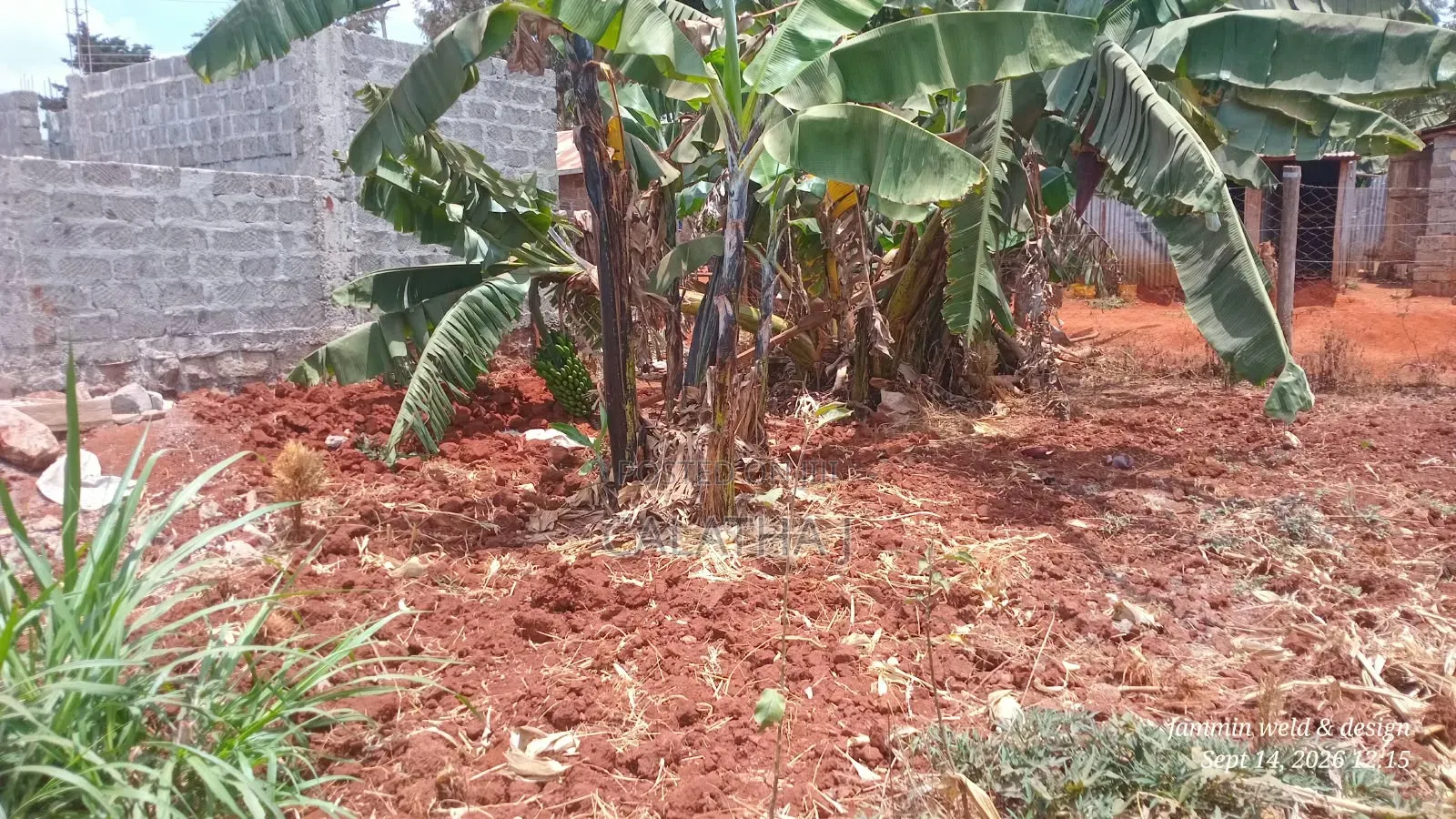 Plot for Sale Mugutha