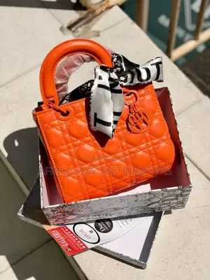 DIOR Handbag