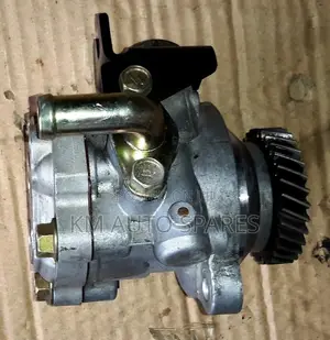 Nissan Zd30 Power Steering Pump for Caravan, Old Model.