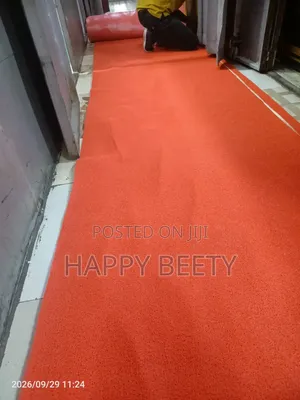 Anti-Skid Spaghetti Carpets for Corridors/Walk Way Carpet/Entrance Mat