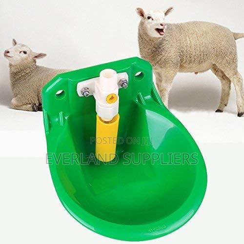 Heavy-Duty Goat Water Drinker - main view
