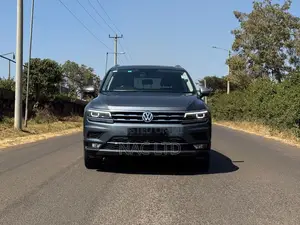 Volkswagen Tiguan 2.0T SEL Premium AWD 4MOTION 2019 Gray