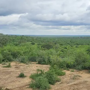 92 Acres for Sale in Kilifi | Kes 120,000 Per Acre