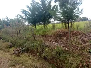 10acres for Sale in Ngata