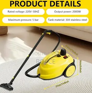 2000W Steam Cleaner