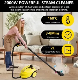 2000W Steam Cleaner