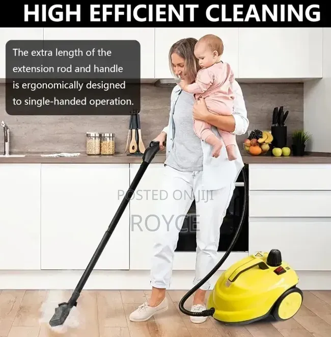 2000W Steam Cleaner