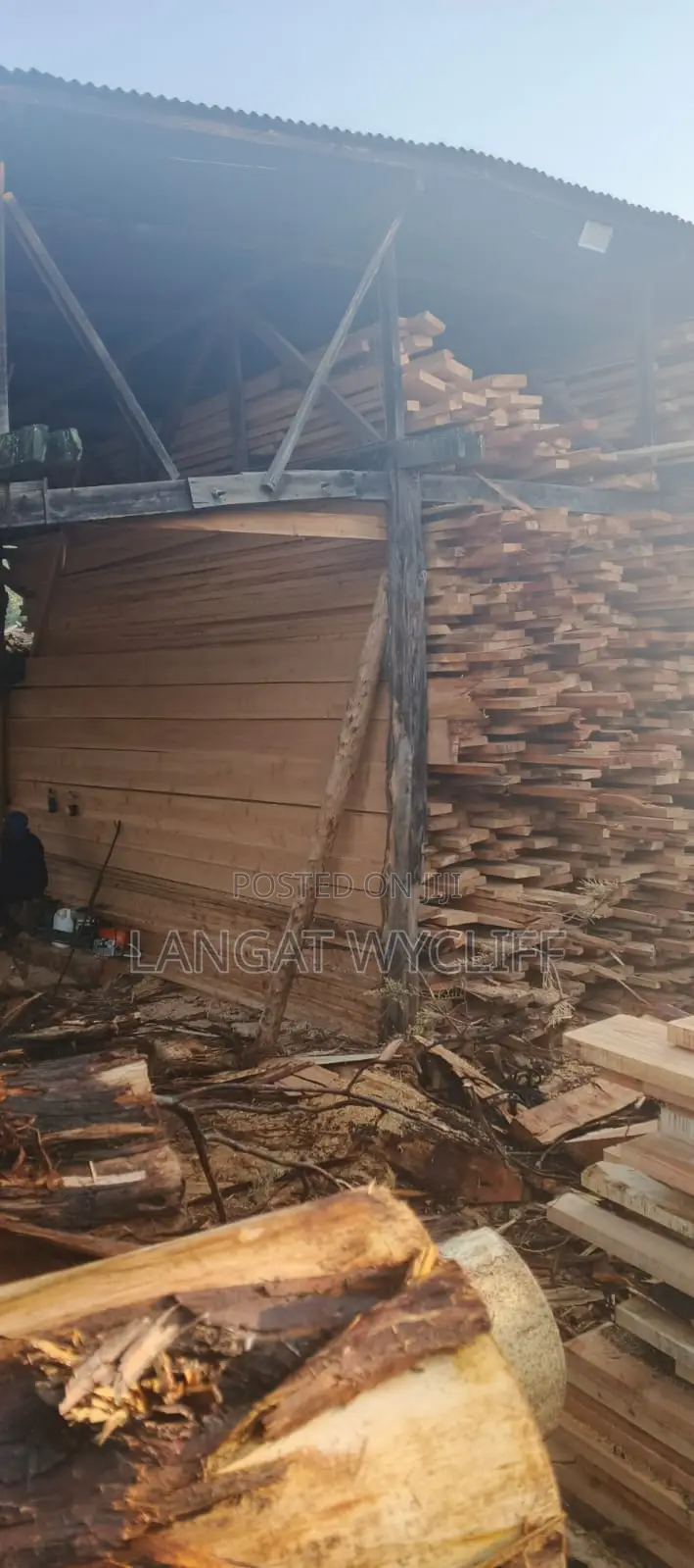 Forest Green Timber