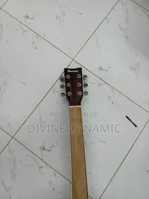 Semi Acoustic Ibanez Guitar
