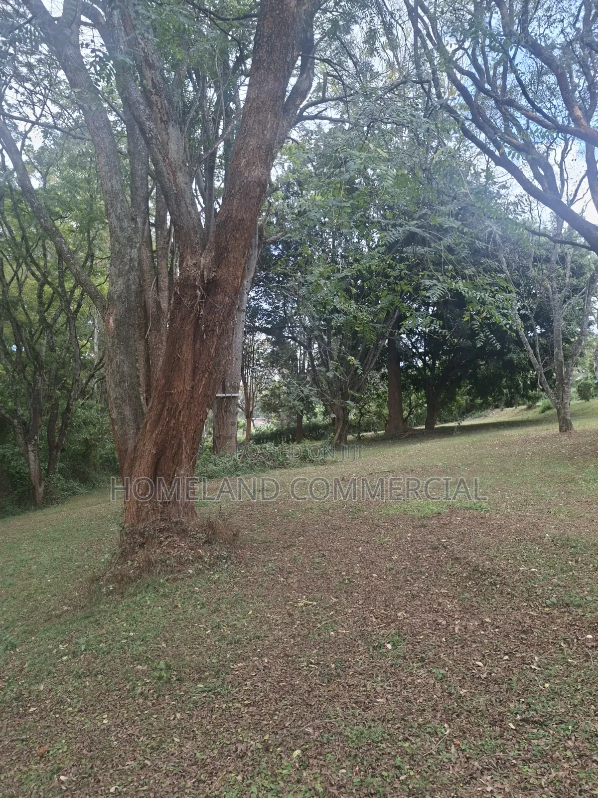 Land for Lease